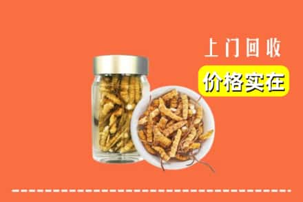 梁平区回收散虫草