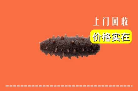 梁平区回收海参