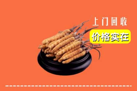 梁平区回收冬虫夏草
